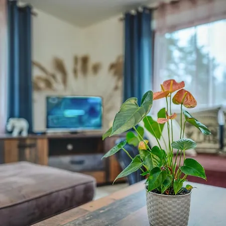 Kasper Apartment