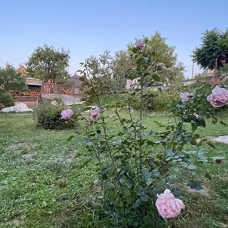 Apartamento Kašper *