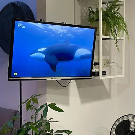 Kašper Apartamento *